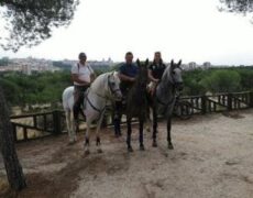 Descubre la magia de Toledo en una ruta a caballo por sus impresionantes campos y bosques