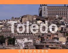 Descubre Toledo de forma única: Únete a nuestras excursiones temáticas para sumergirte en su historia y cultura